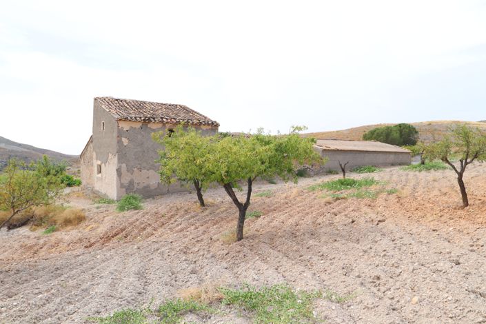 Image No.25-5 Bed Finca for sale