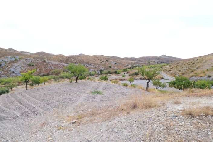 Image No.27-5 Bed Finca for sale