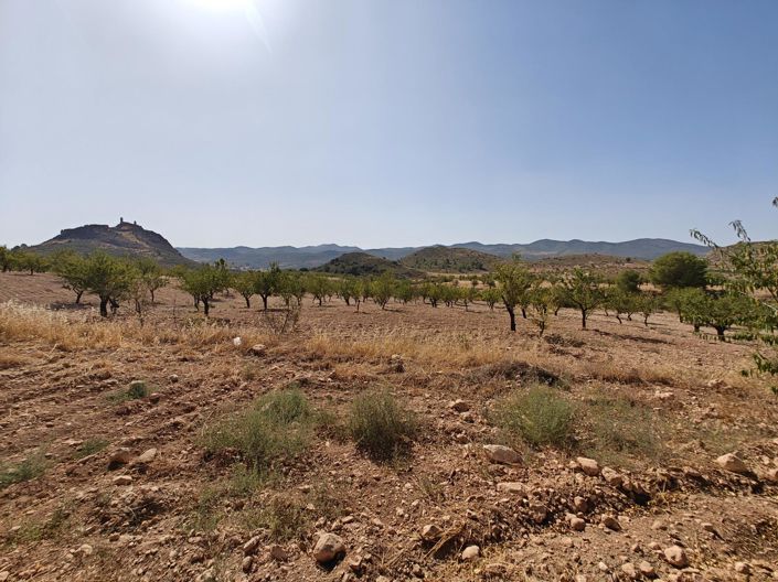Image No.14-4 Bed Land for sale
