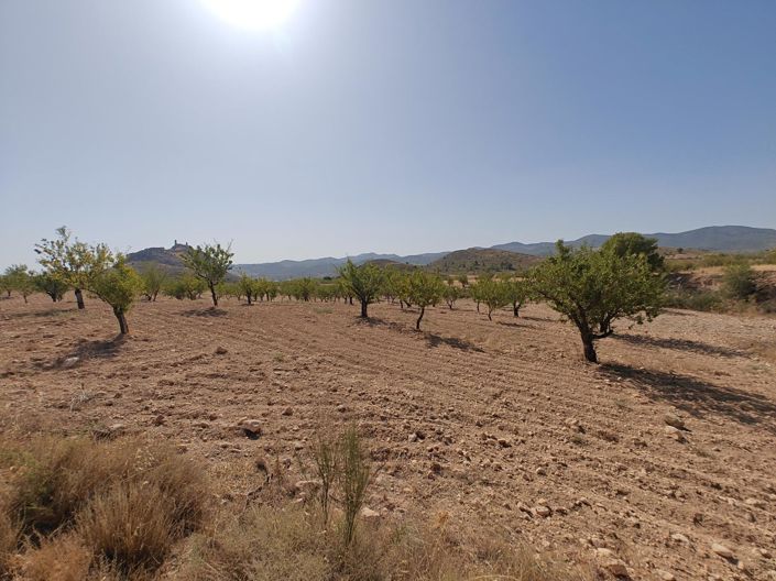 Image No.16-4 Bed Land for sale