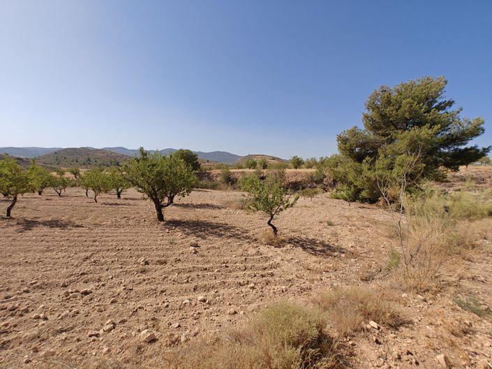 Image No.17-4 Bed Land for sale