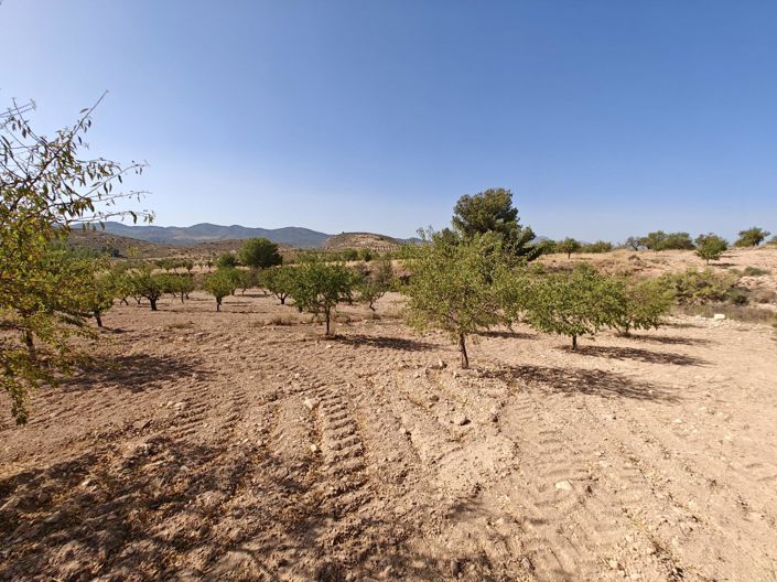 Image No.18-4 Bed Land for sale