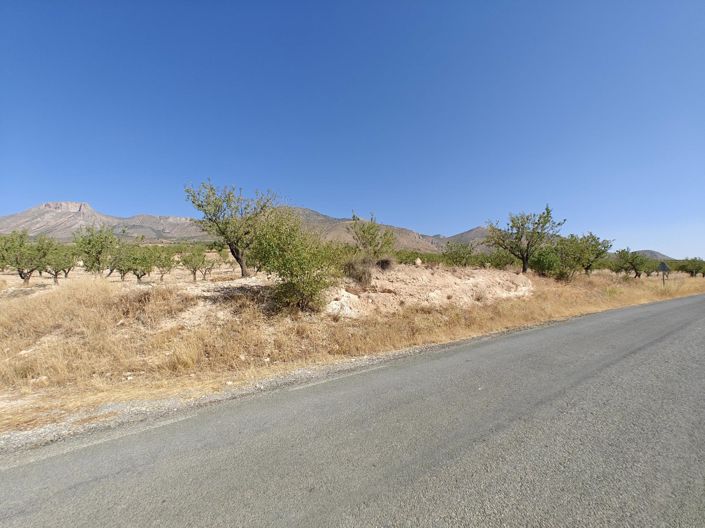 Image No.20-4 Bed Land for sale