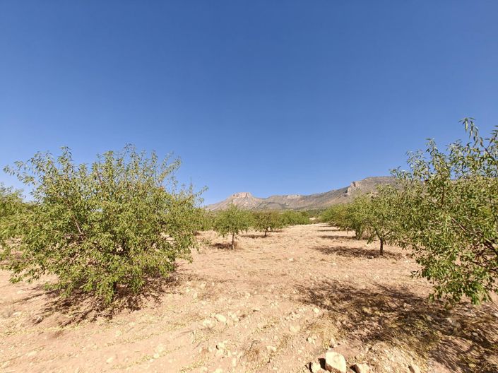 Image No.21-4 Bed Land for sale