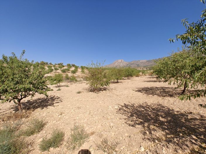 Image No.22-4 Bed Land for sale