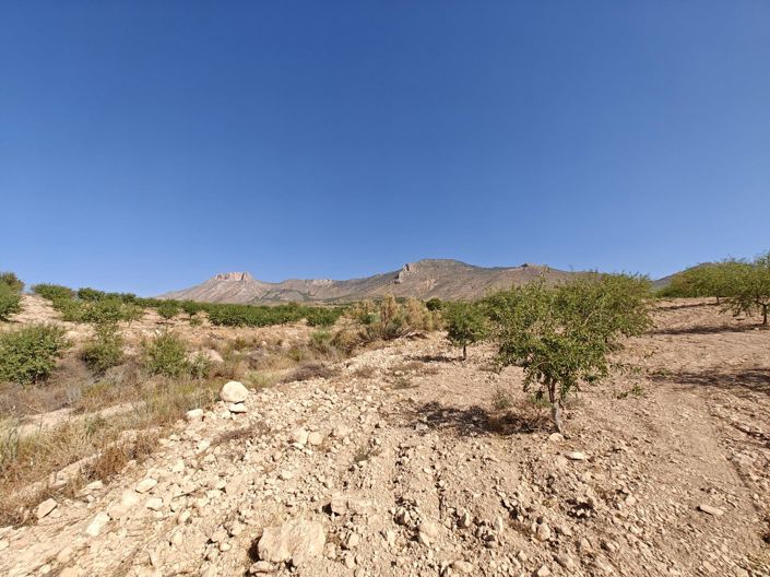 Image No.23-4 Bed Land for sale