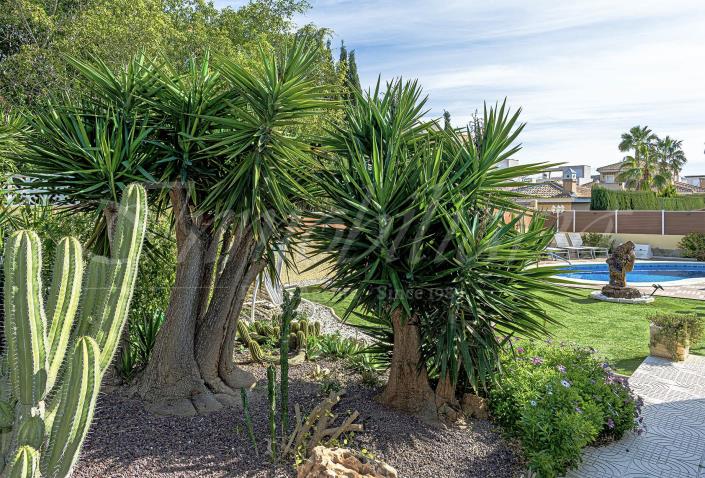 Image No.43-Villa / Détaché de 3 chambres à vendre à Ciudad Quesada