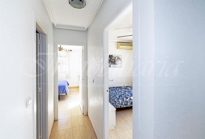 Image No.15-Jumelé de 3 chambres à vendre à Ciudad Quesada