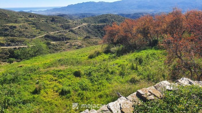 Image No.9-Property for sale