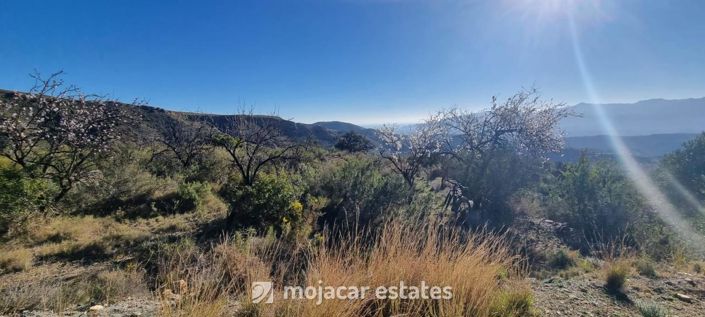 Image No.8-Land for sale