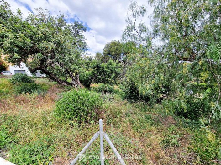 Image No.1-Land for sale