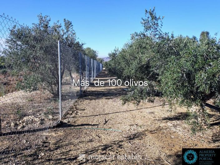 Image No.2-Villa for sale