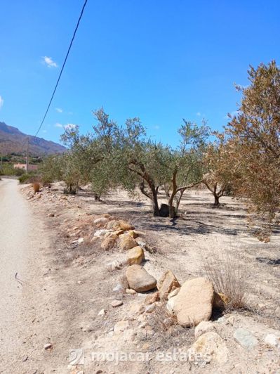 Image No.2-Land for sale