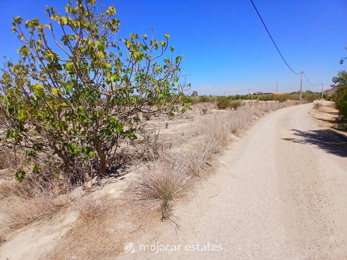 Image No.3-Land for sale