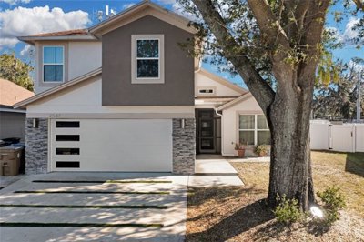1 - Kissimmee, Maison