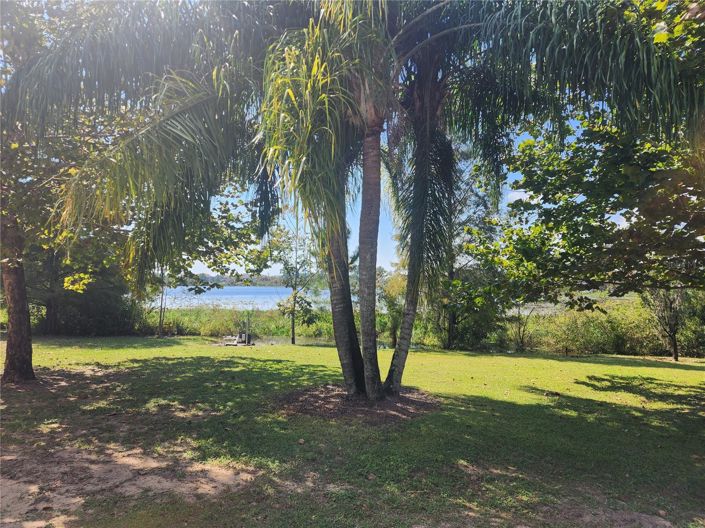 Image No.4-Maison de 4 chambres à vendre à Winter Garden