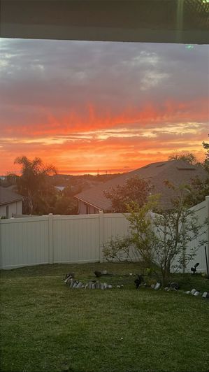 Image No.38-4 Bed House for sale