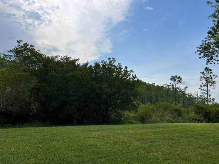 Image No.49-Maison de 5 chambres à vendre à Kissimmee