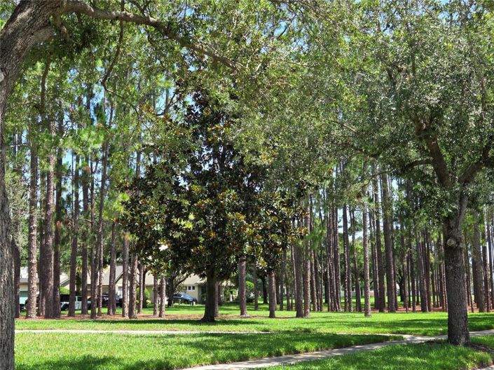 Image No.84-4 Bed House for sale