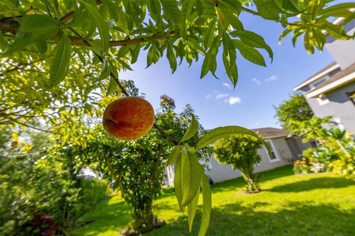 Image No.71-Maison de 4 chambres à vendre à Winter Garden