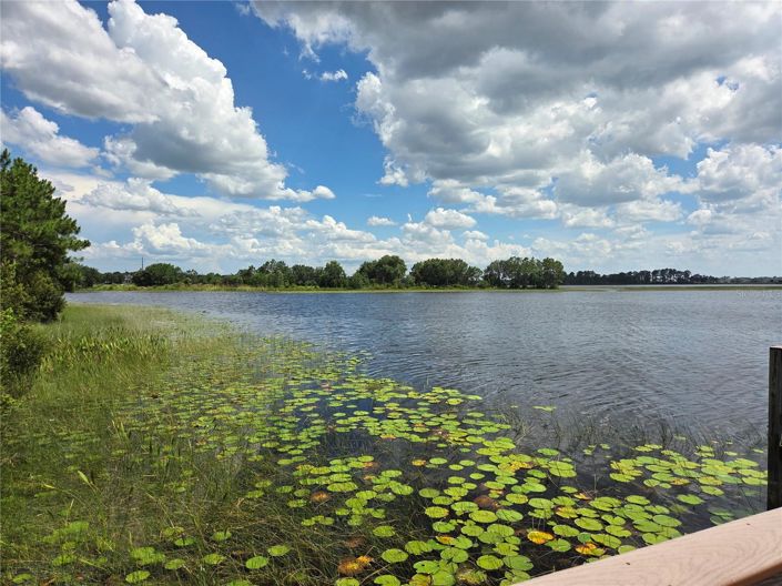 Image No.45-Maison de 4 chambres à vendre à Winter Garden