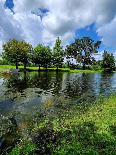 Image No.14-Maison de 5 chambres à vendre à Winter Garden