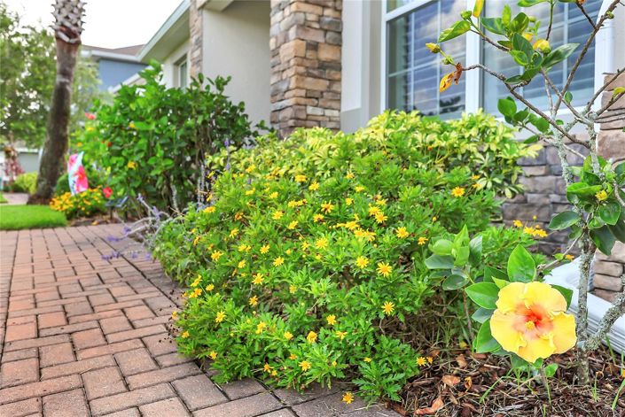 Image No.36-Maison de 4 chambres à vendre à Winter Garden