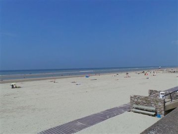 Local_beach