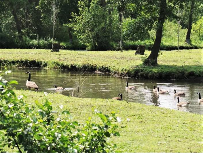 Image No.17-Mobile Home de 2 chambres à vendre à Pas-de-Calais