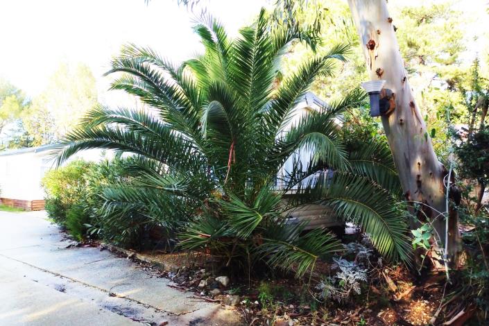 Image No.28-Mobile Home de 3 chambres à vendre à Gonfaron