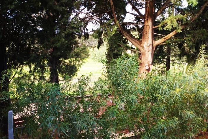 Image No.25-Mobile Home de 2 chambres à vendre à Gonfaron