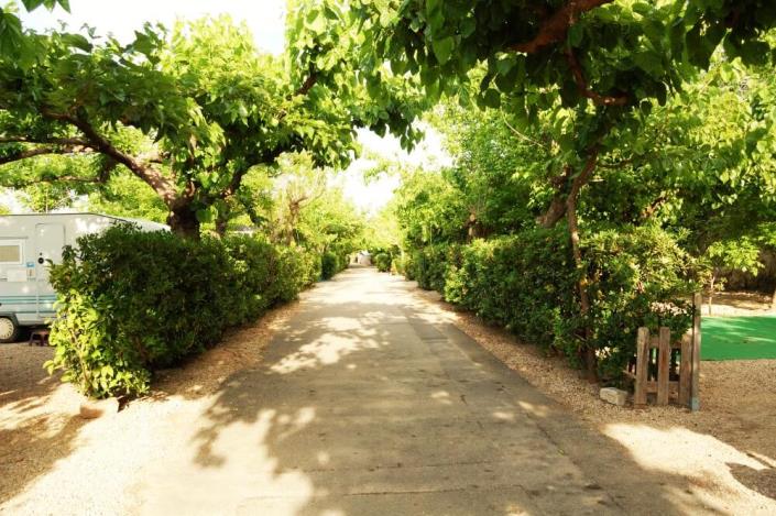 Image No.19-Mobile Home de 2 chambres à vendre à Alcalà de Xivert