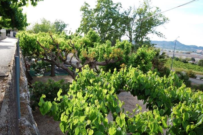 Image No.31-Mobile Home de 2 chambres à vendre à Alcalà de Xivert