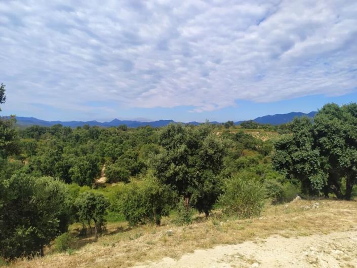 Image No.19-Mobile Home de 2 chambres à vendre à Figueres