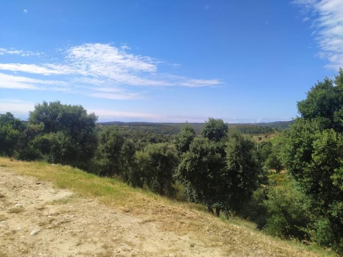 Image No.20-Mobile Home de 2 chambres à vendre à Figueres