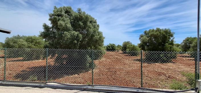 Image No.12-2 Bed Mobile Home for sale
