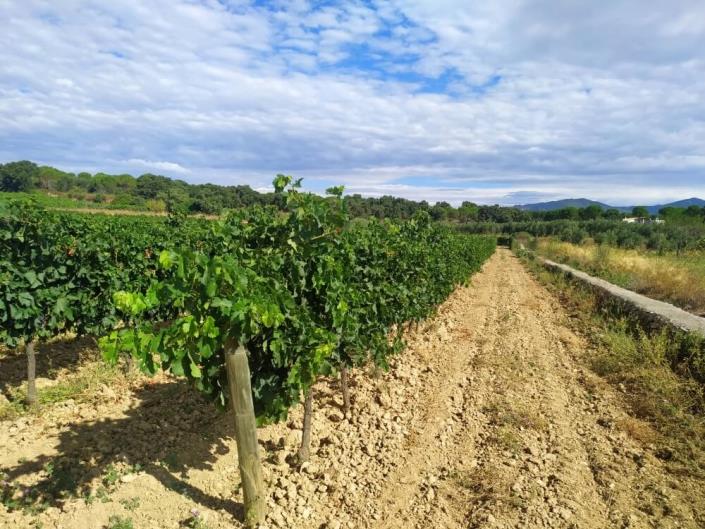 2 Bedrooms mobile home for sale in Figueres Open all 12 months £