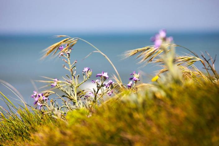 Image No.22-2 Bed Mobile Home for sale