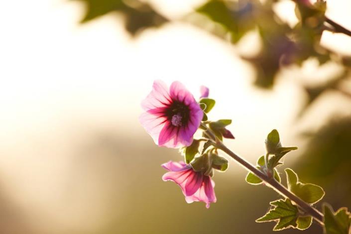 Image No.23-2 Bed Mobile Home for sale