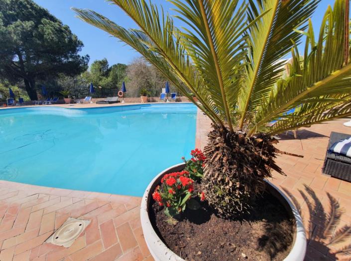 Image No.19-Mobile Home de 2 chambres à vendre à Pise