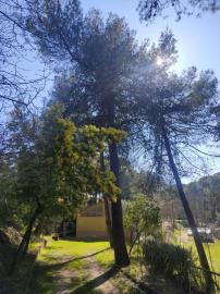Tuscany-springtime