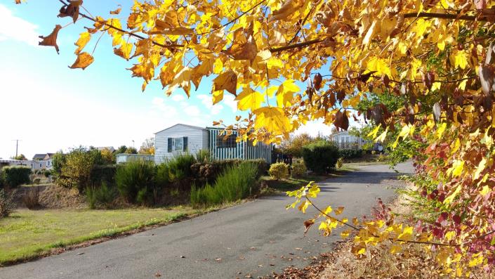 Image No.12-Mobile Home de 2 chambres à vendre à Loyat