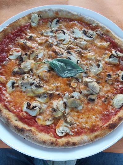 Image No.17-Mobile Home de 2 chambres à vendre à Pisa