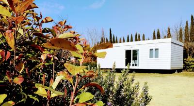 Mobile Home de 3 chambres à vendre à Pisa