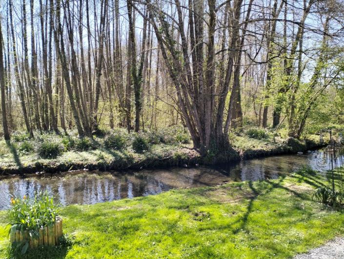 Image No.15-Mobile Home de 2 chambres à vendre à Chef-Boutonne