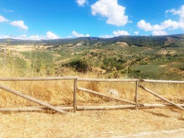 Olvera--20-