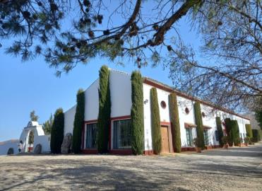 Olvera--21-