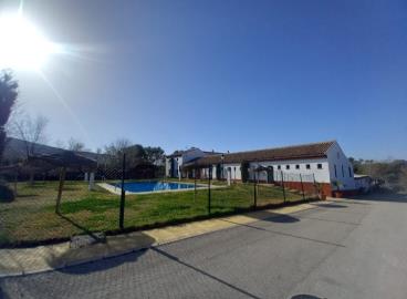 Olvera--29-