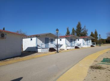 Olvera--31-
