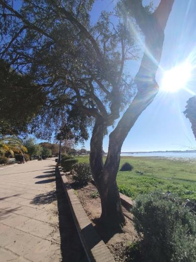 Image No.22-2 Bed Mobile Home for sale